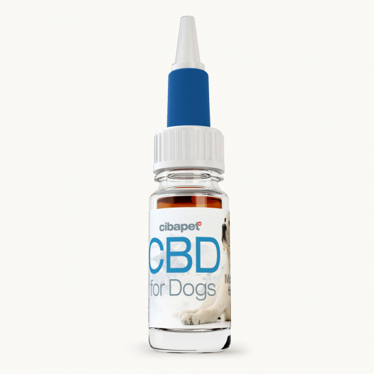 CBD-olja 4 % till hundar