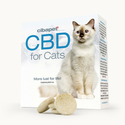CBD-pastiller till katter