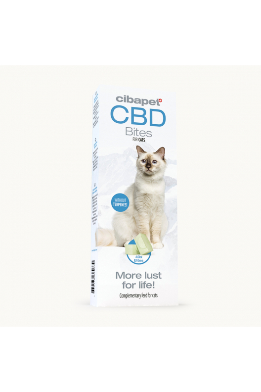 CBD-kattgodis