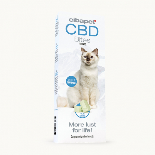 CBD-kattgodis