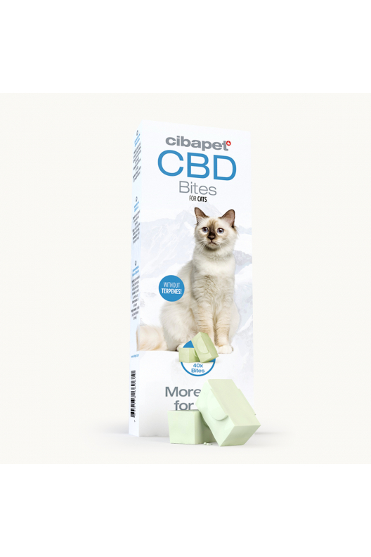 CBD-kattgodis