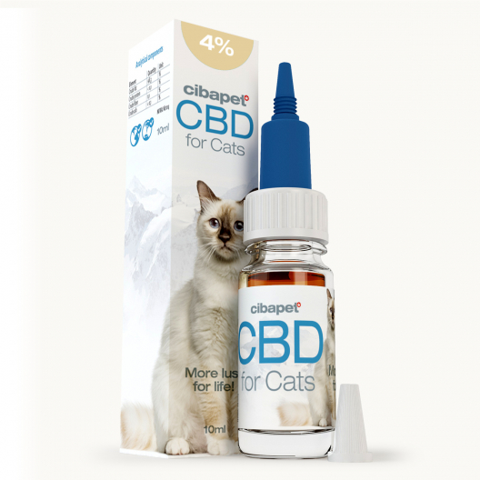 CBD-olja 4 % till katter