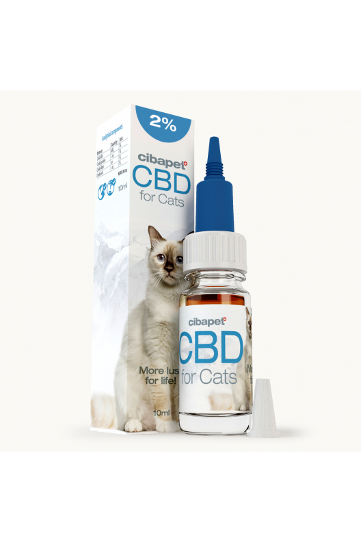 CBD-olja 2 % för katter