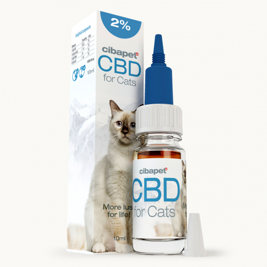 CBD-olja 2 % för katter