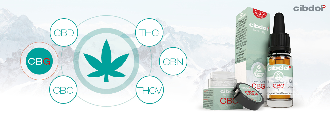Vad är CBG (Cannabigerol)?