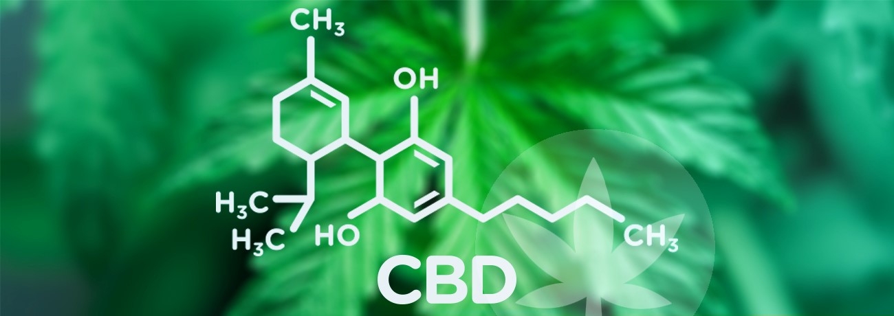 bild av cannabis med molekylformeln för CBD