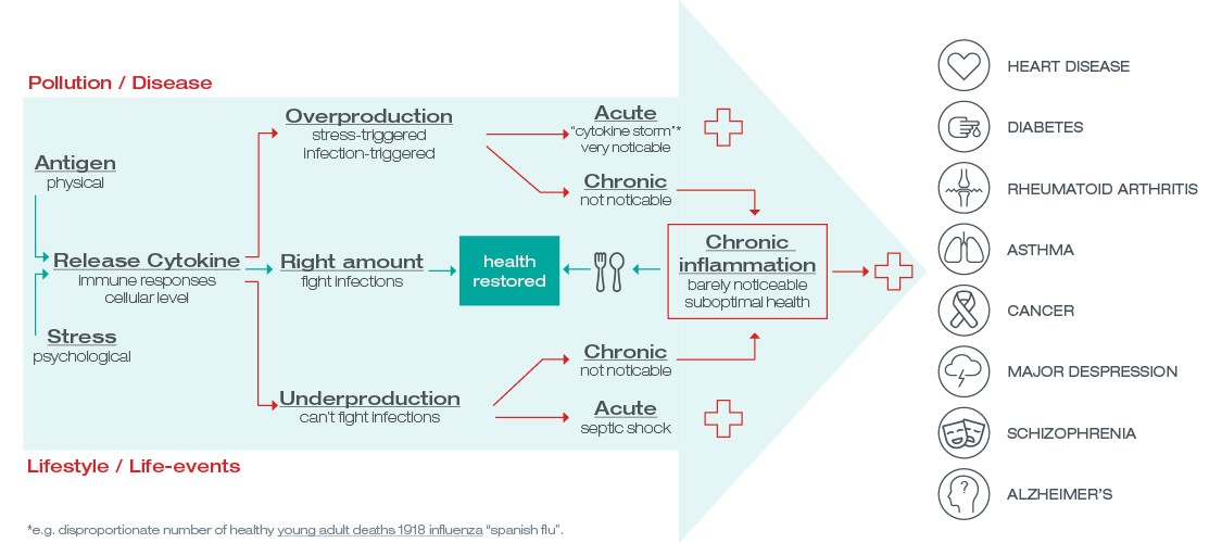 Infografik om kronisk inflammation