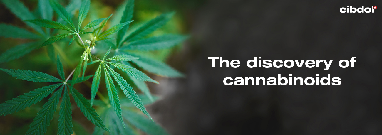 När upptäcktes cannabinoider?