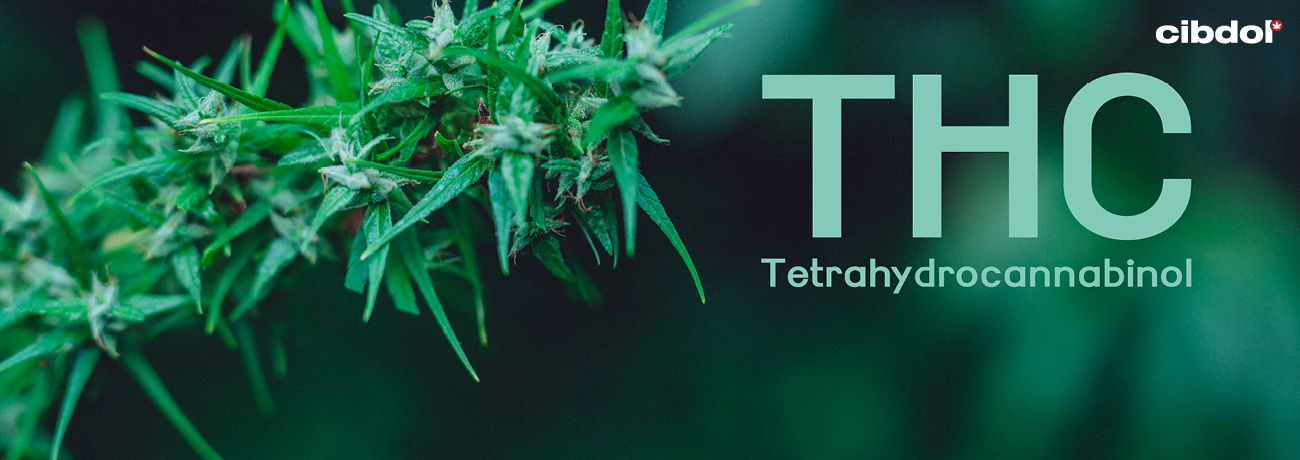 Rättslig status för THC vs CBD