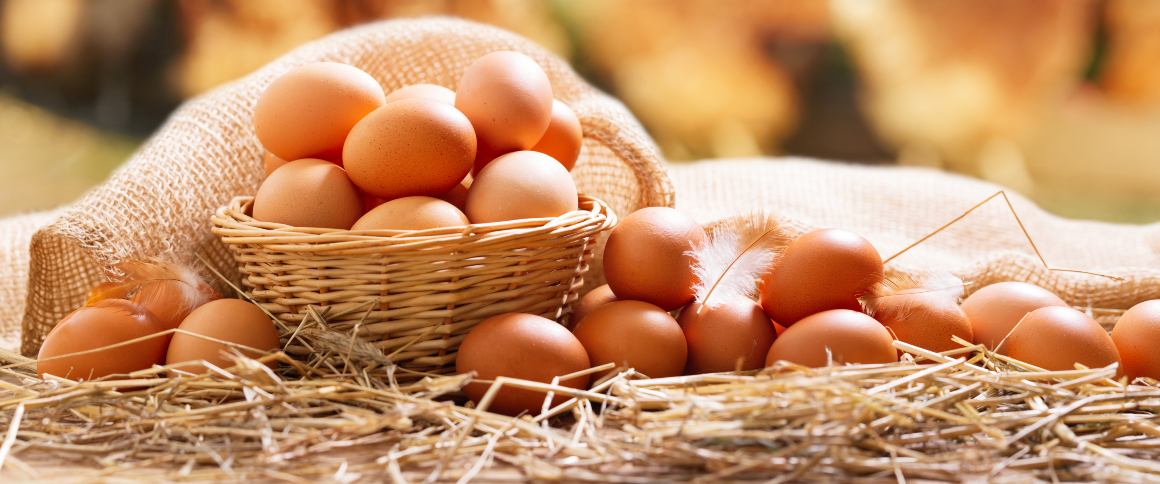 Hur mycket protein finns det i ett ägg?