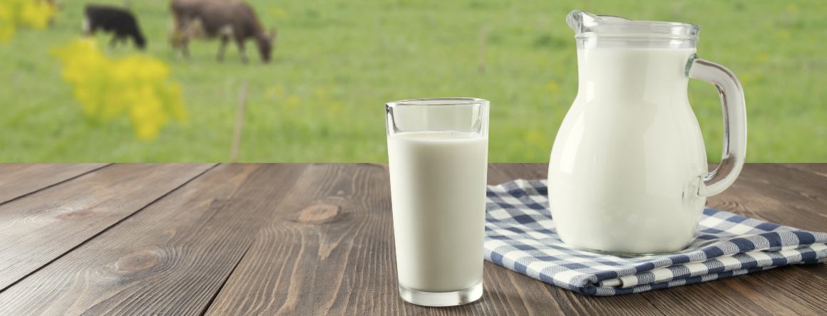 Innehåller mjölk omega-3-fettsyror?