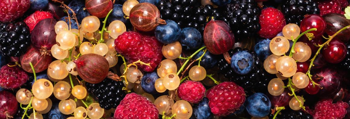 Vilken frukt innehåller mycket Omega-3?