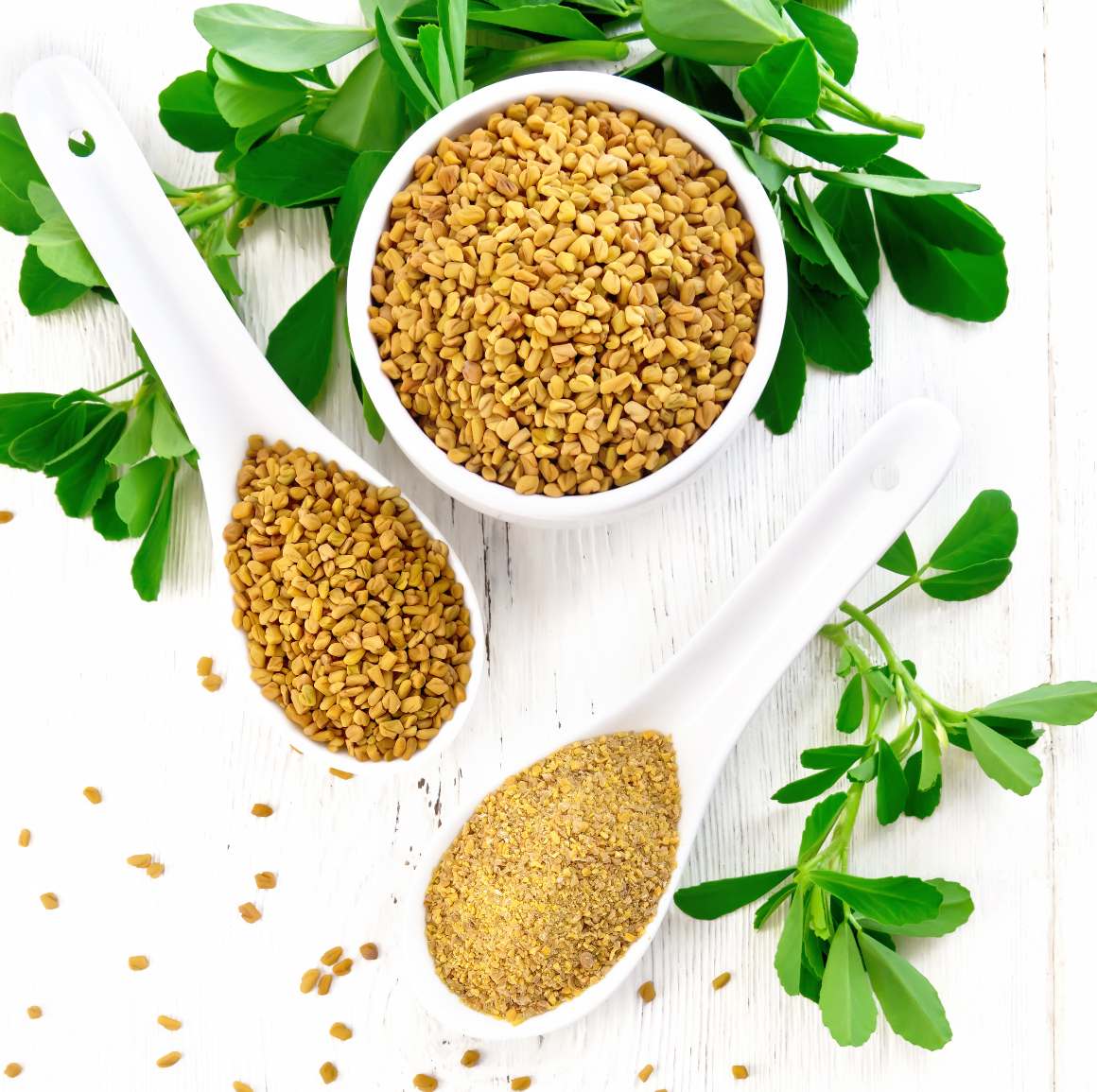 Precautions and Proper Usage of Fenugreek Seeds & Tea