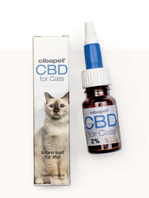 CBD till katter