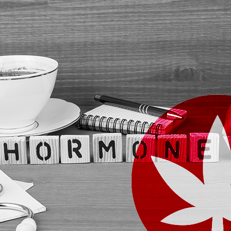 Påverkar CBD dina hormoner?