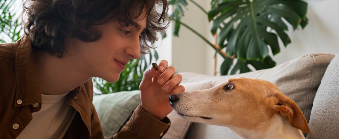 Fungerar inte CBD-olja för din hund?